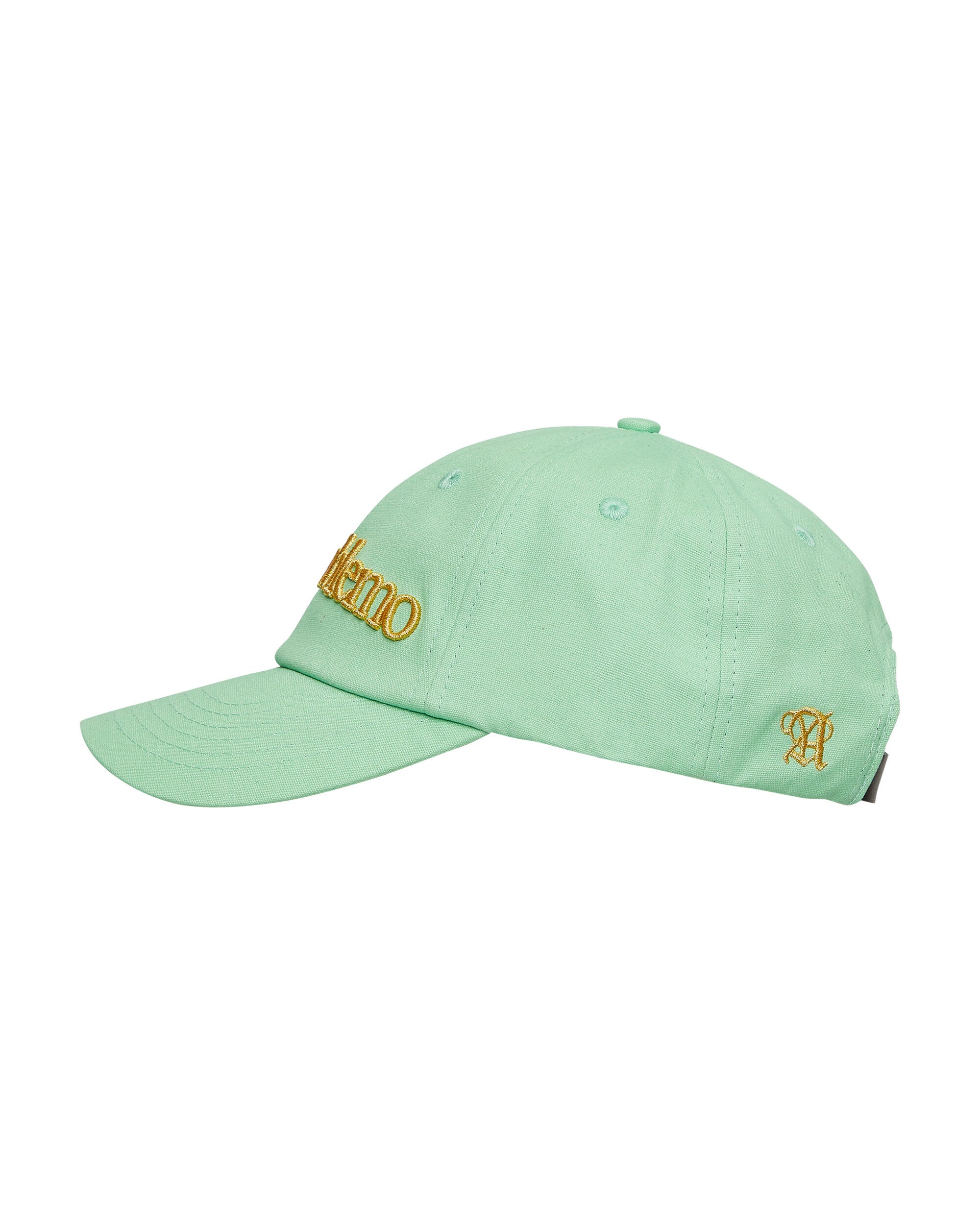Aries No Problemo Cap Aqua Hats Caps STAR90000 AQU