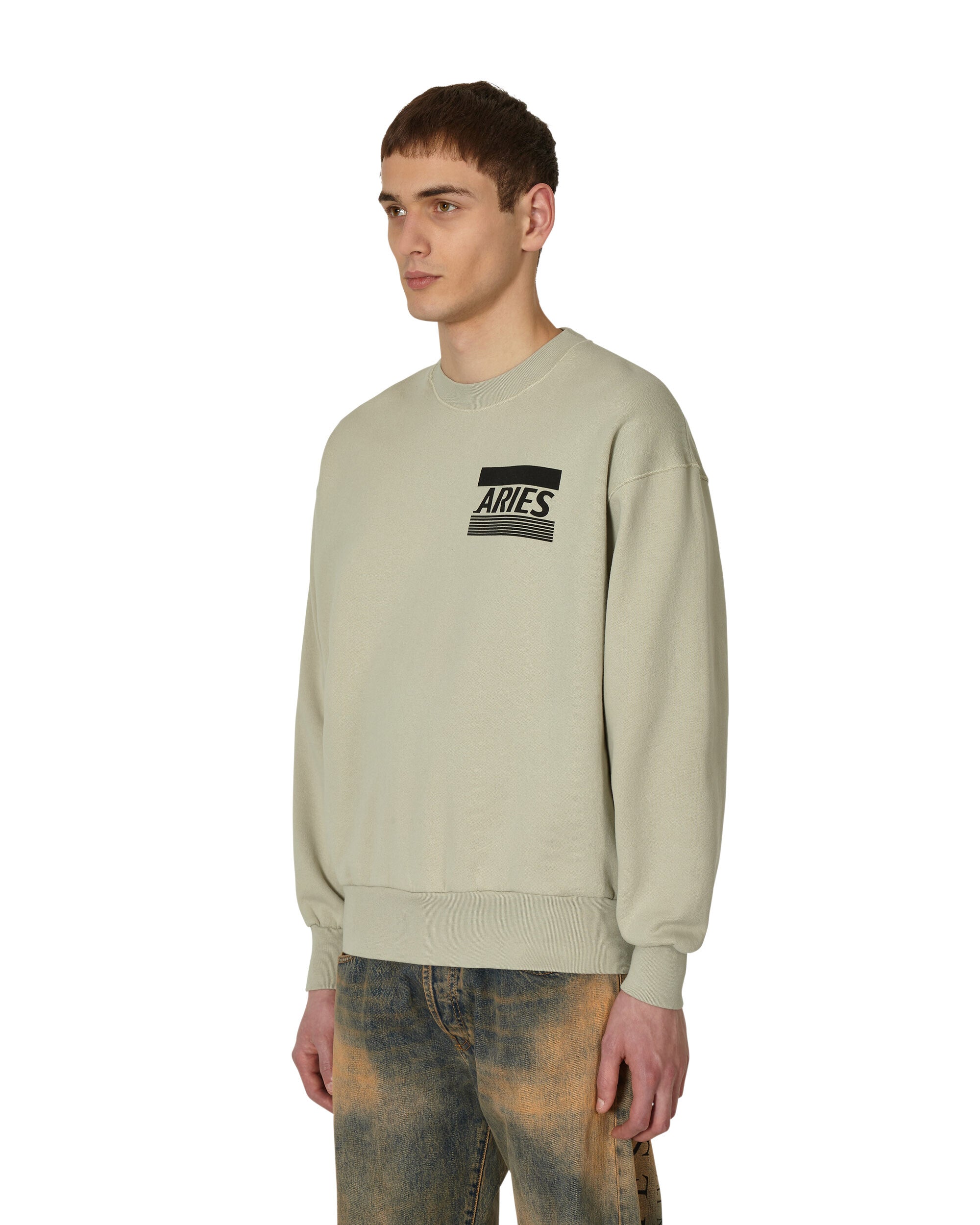 Aries Credit Card Sweatshirt Agate Sweatshirts Crewneck STAR20004 AGT