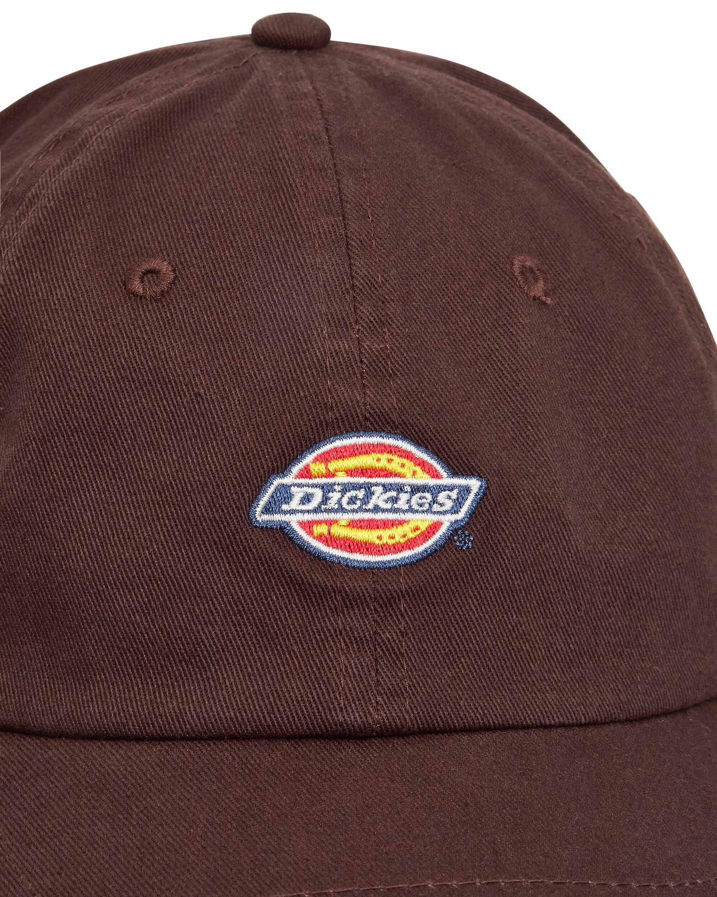 Dickies Hardwick Dark Brown Hats Caps DK0A4TKV DBX1