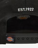 Dickies Hardwick Black Hats Caps DK0A4TKV BLA1