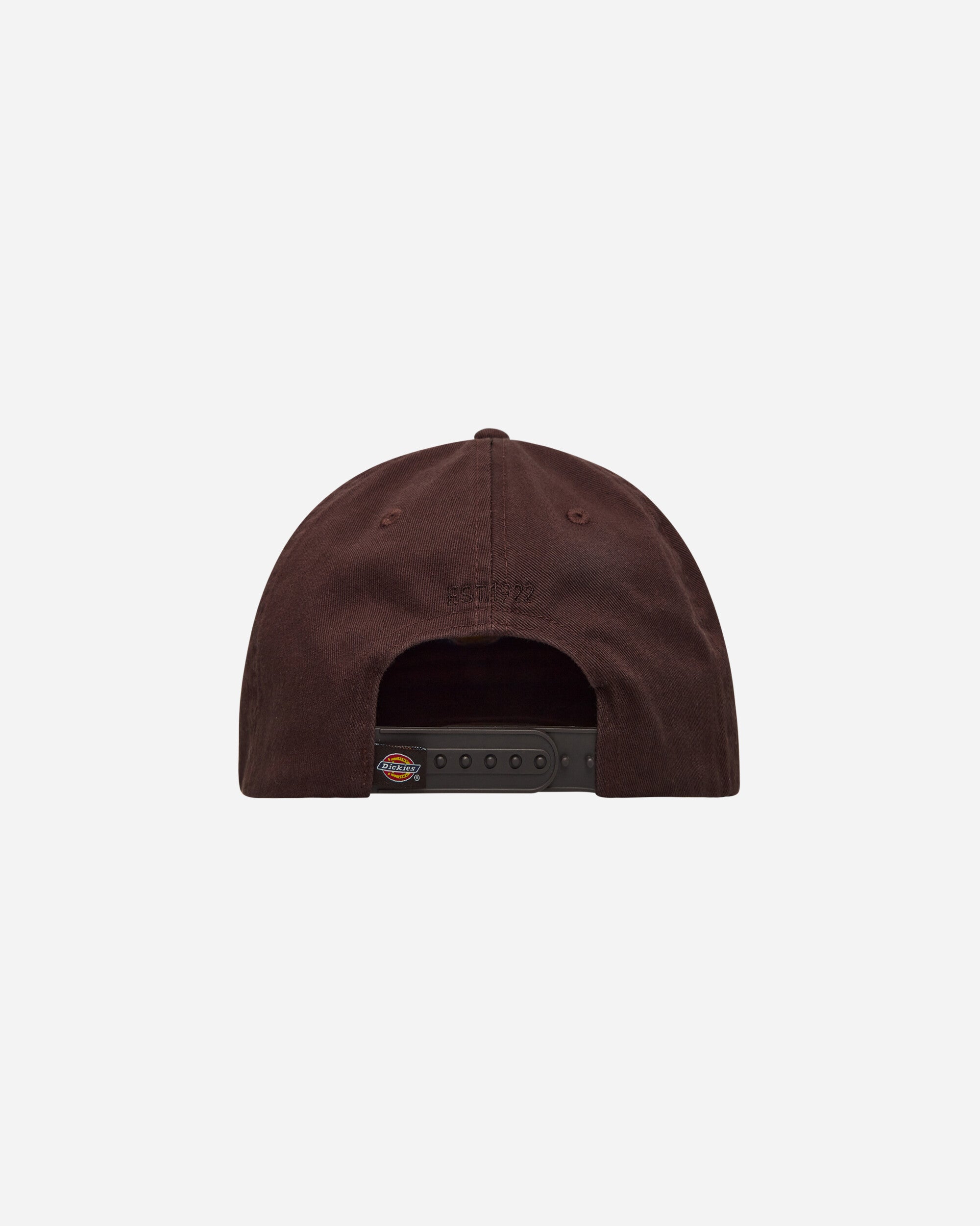 Dickies Hardwick Dark Brown Hats Caps DK0A4TKV DBX1