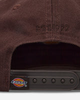 Dickies Hardwick Dark Brown Hats Caps DK0A4TKV DBX1