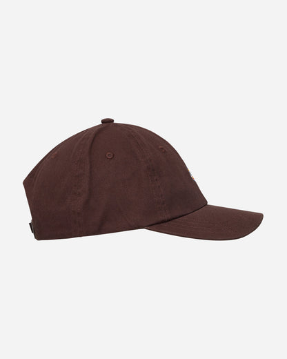 Dickies Hardwick Dark Brown Hats Caps DK0A4TKV DBX1