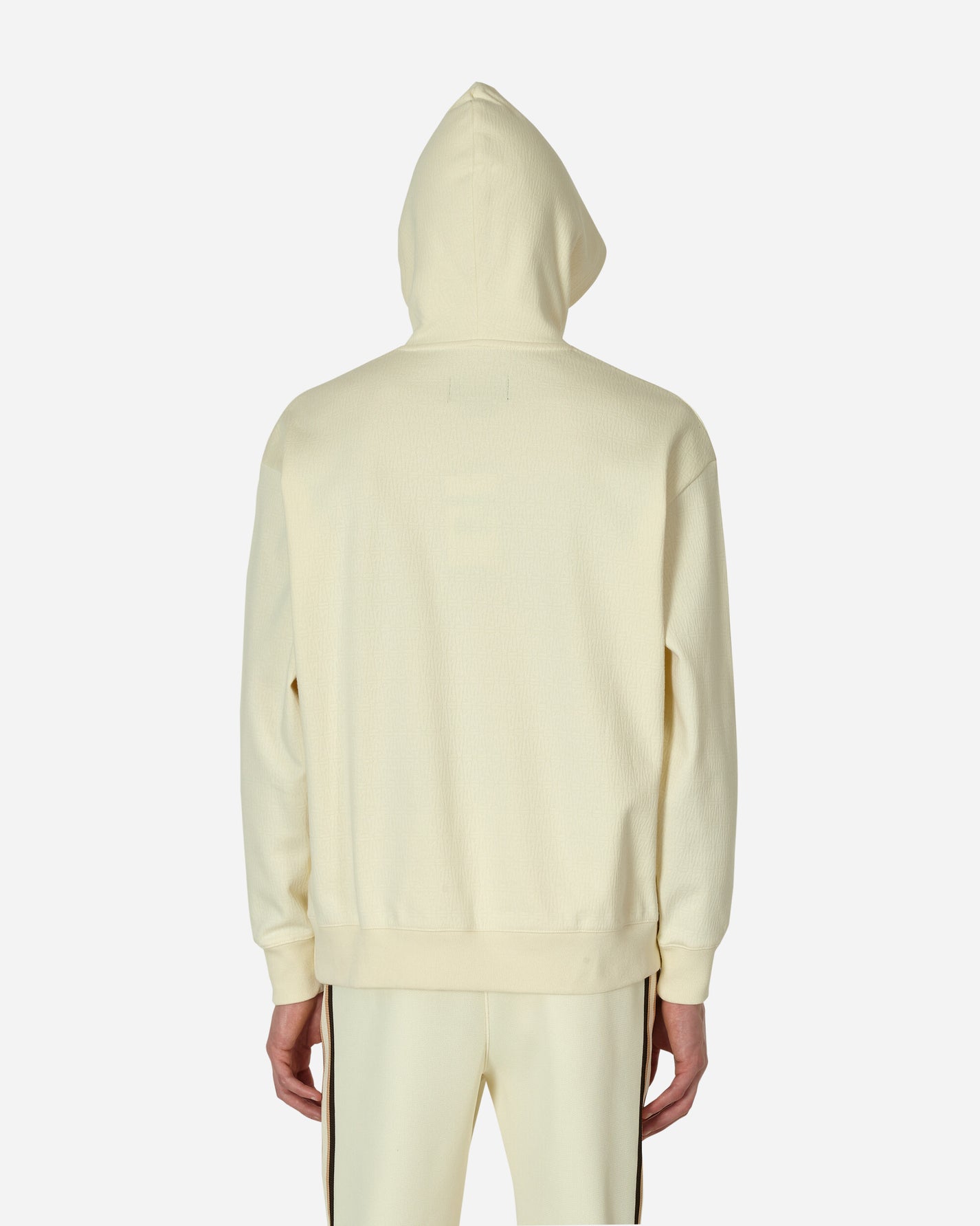 Nike Jordan Amm Jacquard Hoodie Coconut Milk Sweatshirts Hoodies DV7455-113