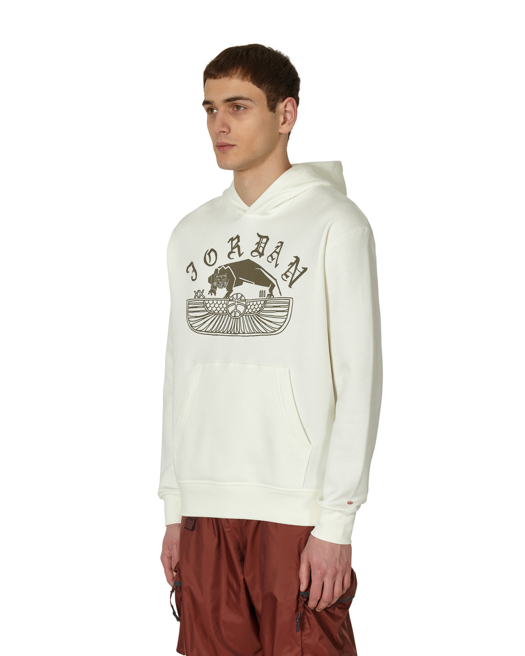 Nike Jordan Flt Artst Srs Flc Po Sail/Palomino Sweatshirts Hoodies DV7571-133