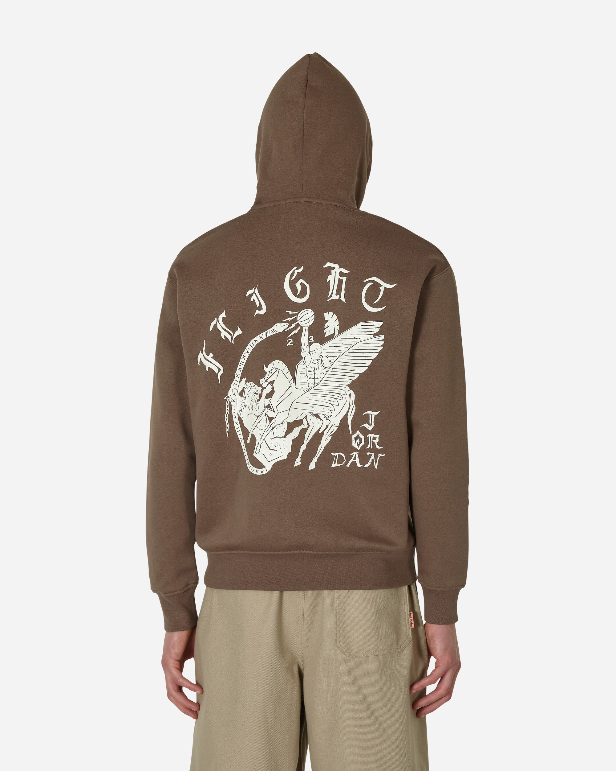 Nike Jordan Flt Artst Srs Flc Po Palomino/Sail Sweatshirts Hoodies DV7571-274