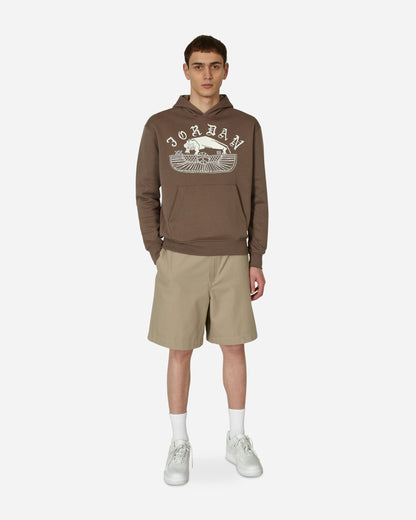 Nike Jordan Flt Artst Srs Flc Po Palomino/Sail Sweatshirts Hoodies DV7571-274