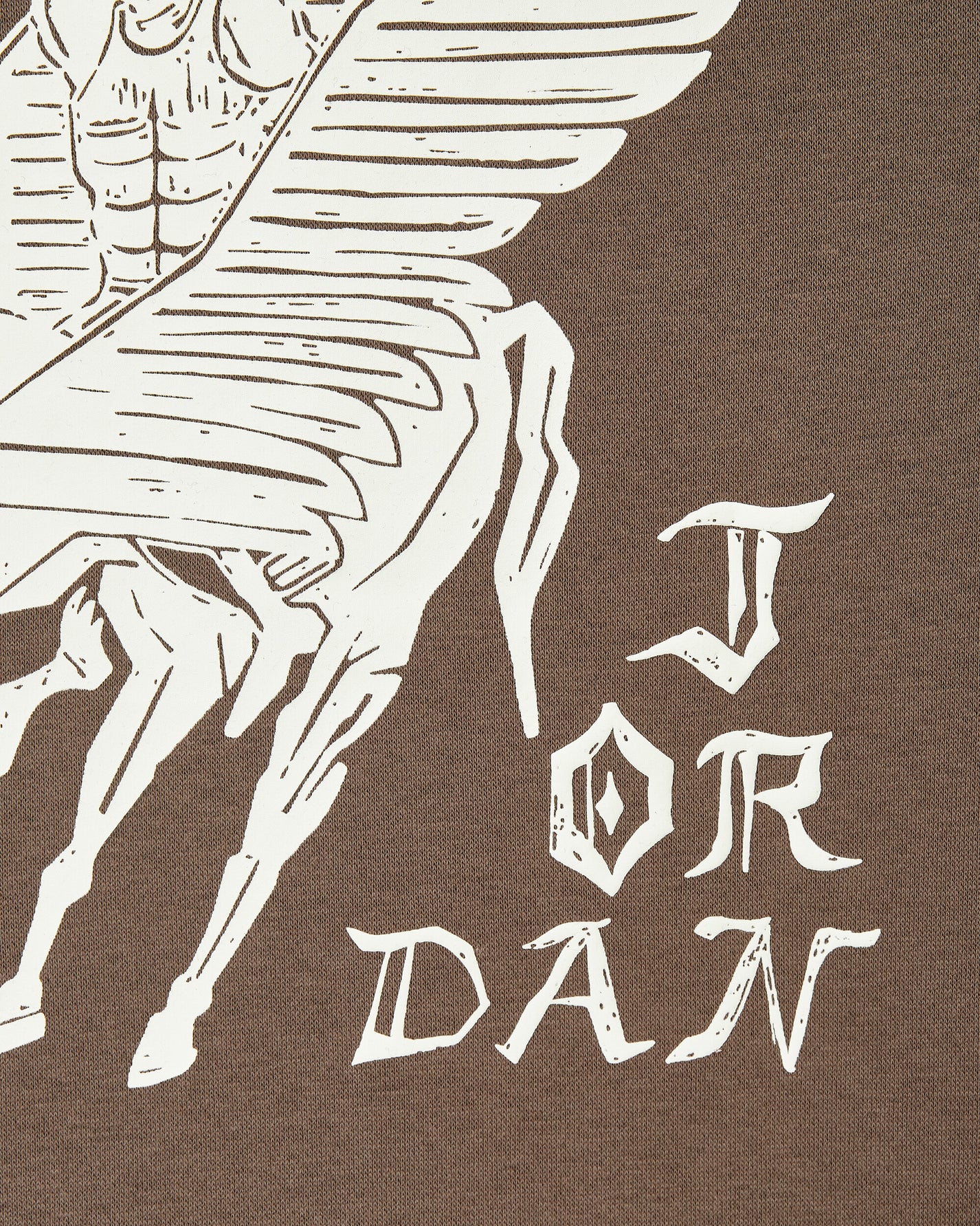 Nike Jordan Flt Artst Srs Flc Po Palomino/Sail Sweatshirts Hoodies DV7571-274