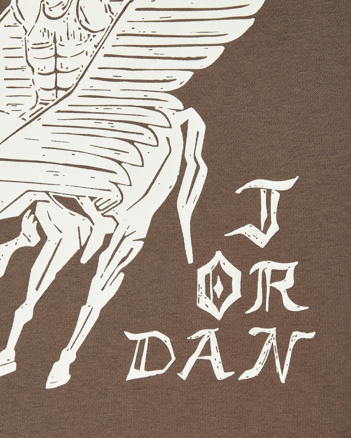 Nike Jordan Flt Artst Srs Flc Po Palomino/Sail Sweatshirts Hoodies DV7571-274