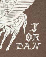 Nike Jordan Flt Artst Srs Flc Po Palomino/Sail Sweatshirts Hoodies DV7571-274