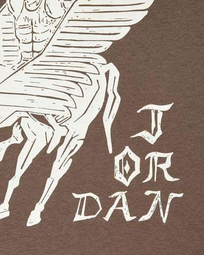 Nike Jordan Flt Artst Srs Flc Po Palomino/Sail Sweatshirts Hoodies DV7571-274