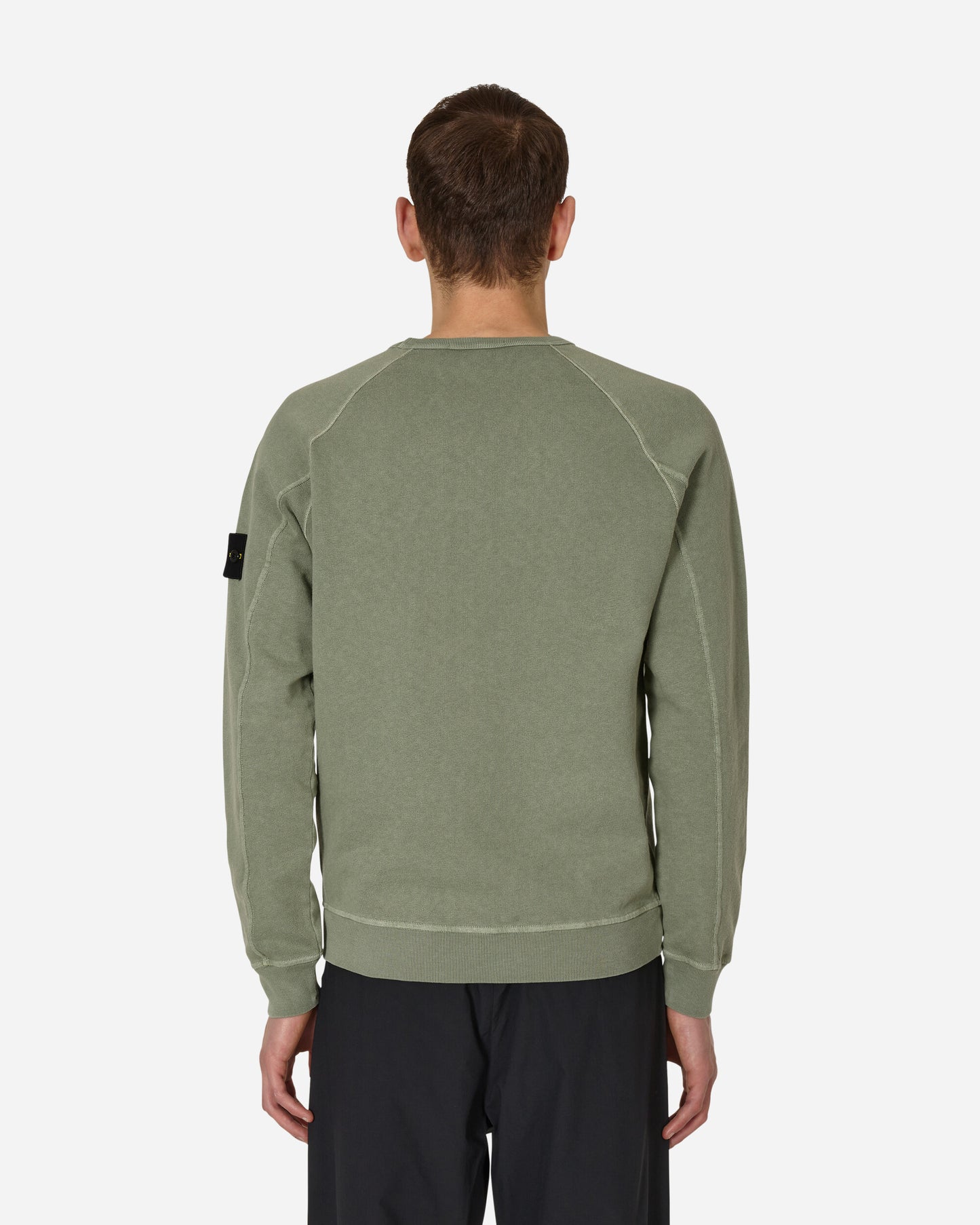 Stone Island Felpa Salvia Sweatshirts Crewneck MO781566360 V0155