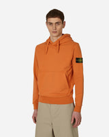 Stone Island Felpa Terra Di Siena Sweatshirts Hoodies MO101564151 V0073