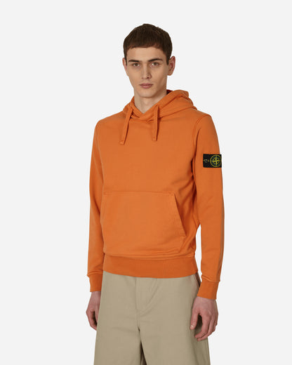 Stone Island Felpa Terra Di Siena Sweatshirts Hoodies MO101564151 V0073