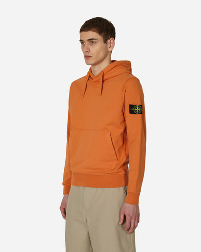 Stone Island Felpa Terra Di Siena Sweatshirts Hoodies MO101564151 V0073