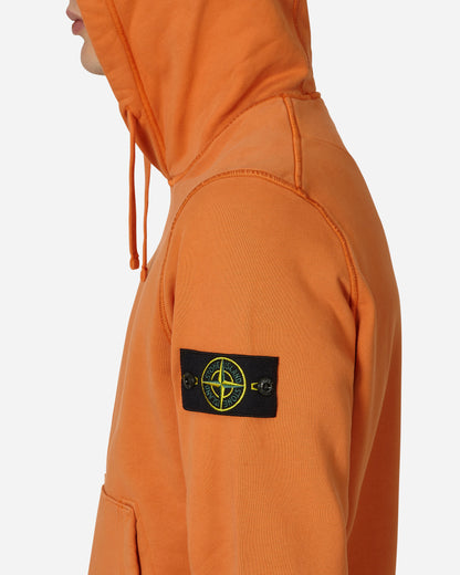 Stone Island Felpa Terra Di Siena Sweatshirts Hoodies MO101564151 V0073
