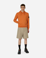 Stone Island Felpa Terra Di Siena Sweatshirts Hoodies MO101564151 V0073