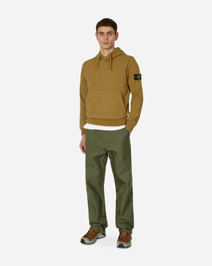 Stone Island Felpa Corteccia Sweatshirts Hoodies MO101564151 V0098